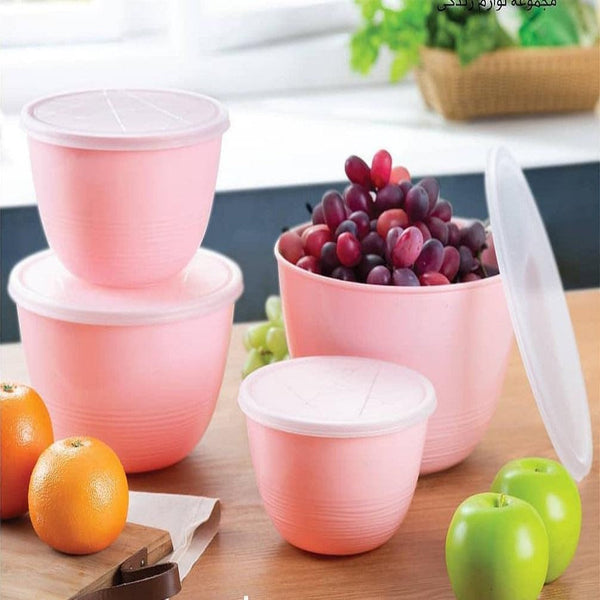 Foodish Containers (4 pcs) - zeests.com - Best place for furniture, home decor and all you need
