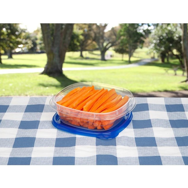 Square Take Along Food Conatiner Bowls (Pack of 4) - zeests.com - Best place for furniture, home decor and all you need