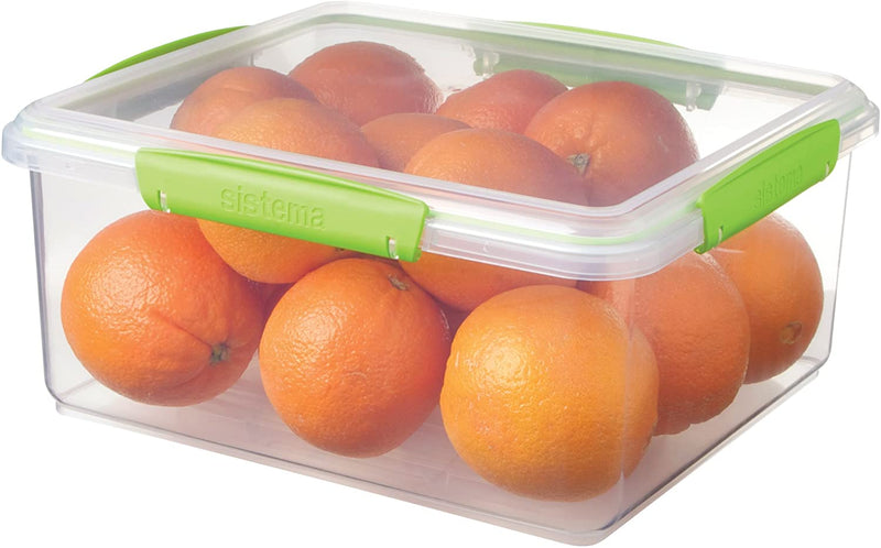 Rectangular Accents Food Lunch Box - zeests.com - Best place for furniture, home decor and all you need
