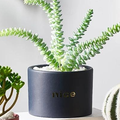 Hutch Pot Decor - zeests.com - Best place for furniture, home decor and all you need