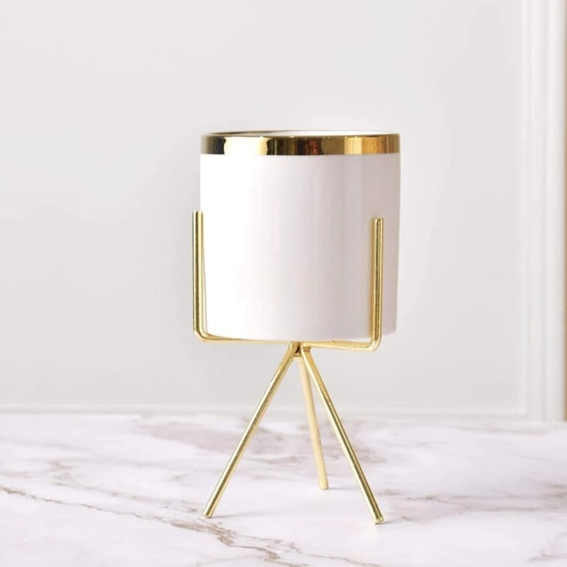 Golden Strip Ceramic Pot - zeests.com - Best place for furniture, home decor and all you need