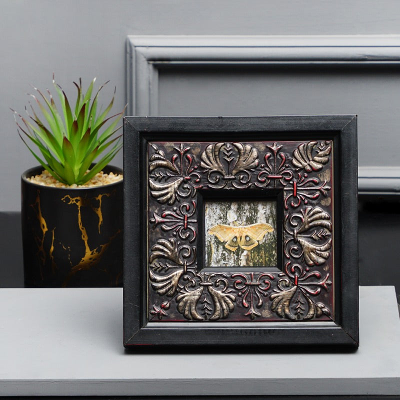 Traditional Frame Decor - zeests.com - Best place for furniture, home decor and all you need