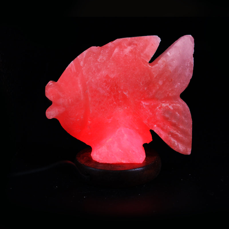 Fish - Table Salt Lamp - zeests.com - Best place for furniture, home decor and all you need