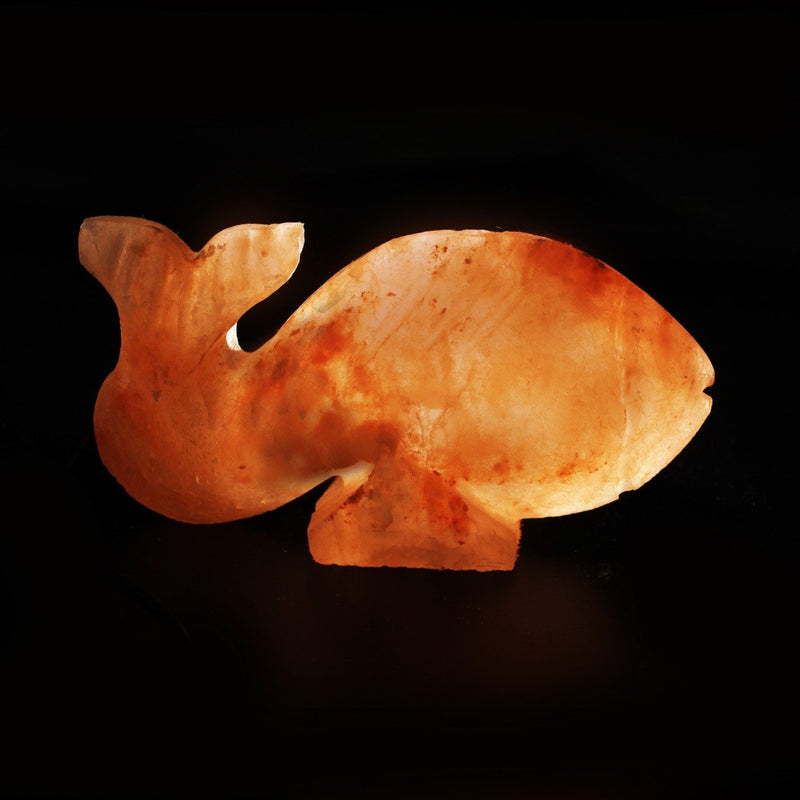 Fish - Table Salt Lamp - zeests.com - Best place for furniture, home decor and all you need