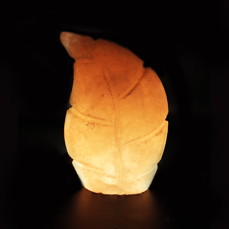Curved Fern - Table Lamp - zeests.com - Best place for furniture, home decor and all you need
