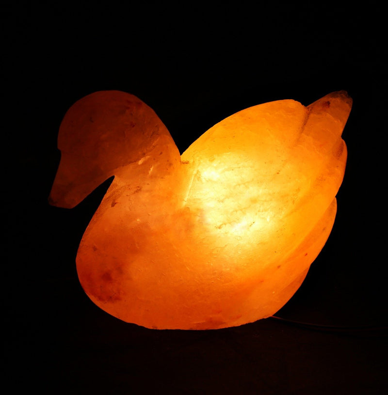 Duck - Table Lamp - zeests.com - Best place for furniture, home decor and all you need